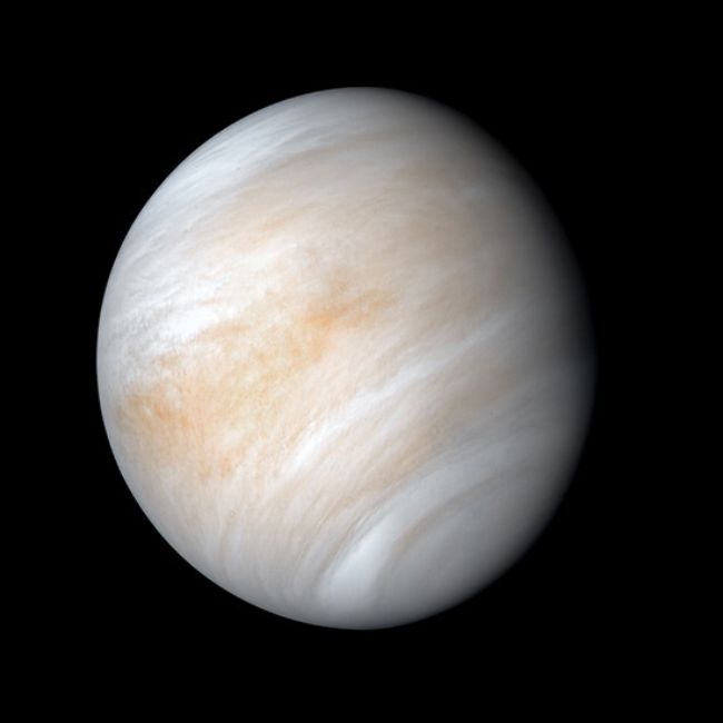 destaque venus