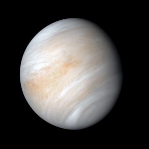 destaque venus